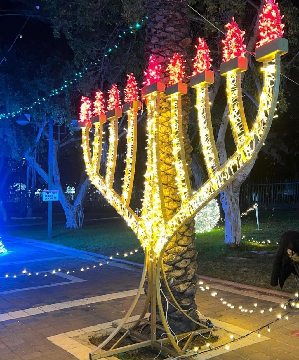 פסטיבל האורות בקרית מוצקין (צילום: יח"צ) פסטיבל האורות בקרית מוצקין