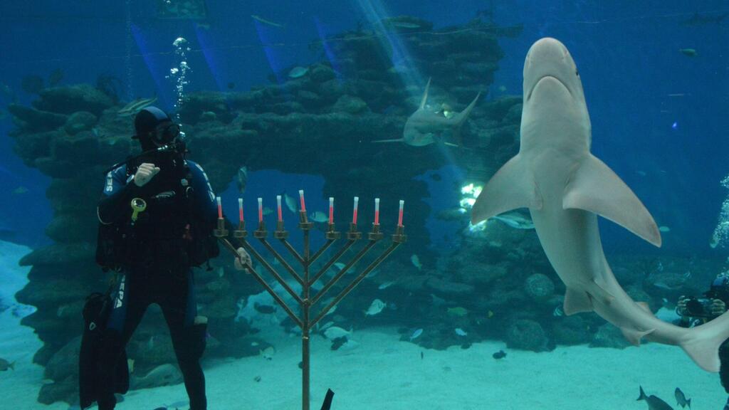 הדלקת נרות מתחת למים (צילום: בועז סמוראי) הדלקת נרות מתחת למים