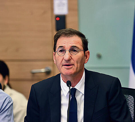 ביסמוט. חייל בלי גיבוי | צילום: אלכס קולומויסקי