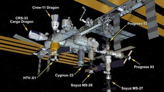 גם בחלל קשה למצוא חניה. תחנת החלל הבינלאומית עם שמונה החלליות שעוגנות בה גם בחלל קשה למצוא חניה. תחנת החלל הבינלאומית עם שמונה החלליות שעוגנות בה
