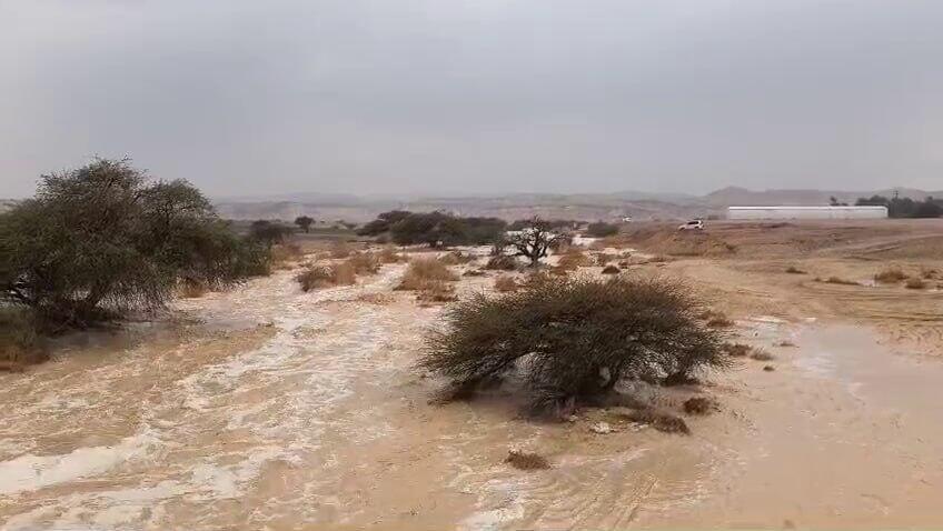 נחל שלהב בערבה התיכונה (צילום: איתן גץ) נחל שלהב בערבה התיכונה