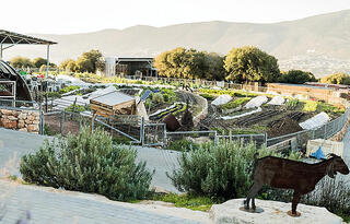 צילום: רז יעקב