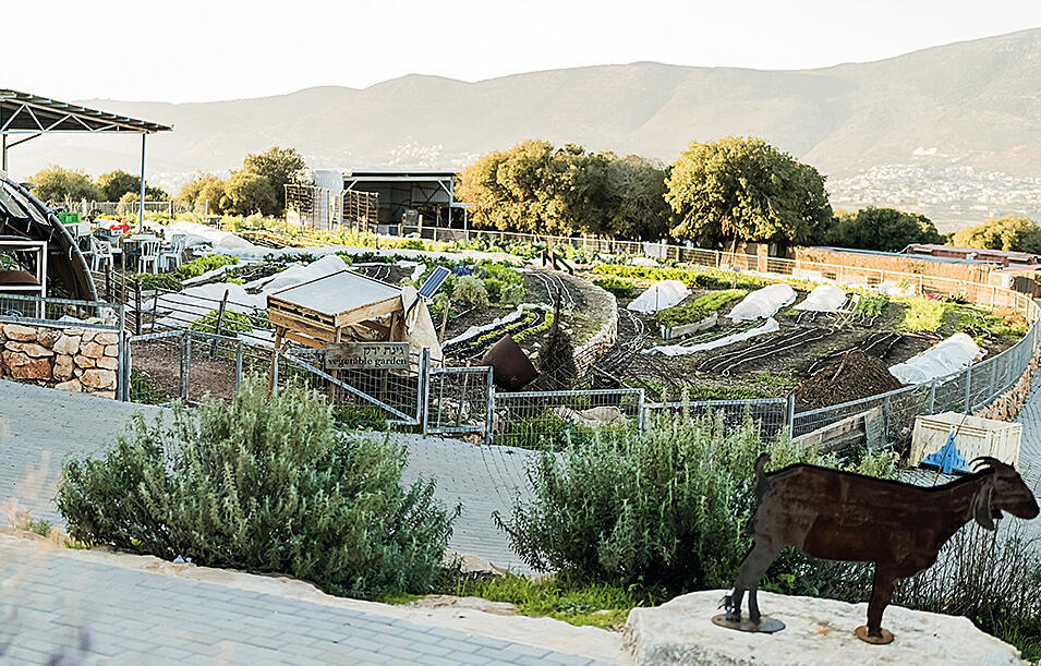 צילום: רז יעקב