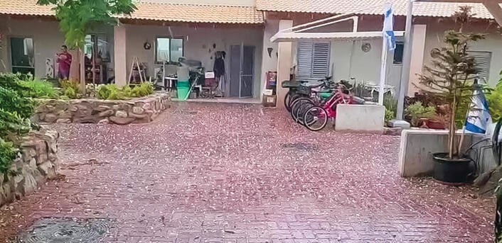 ברד ביטבתה (הגר אוחיון) ברד ביטבתה