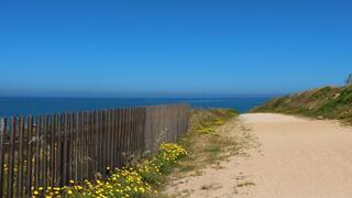 לטייל מול הים. הישראלים נהרו אל המקום הזה גן לאומי פלמחים