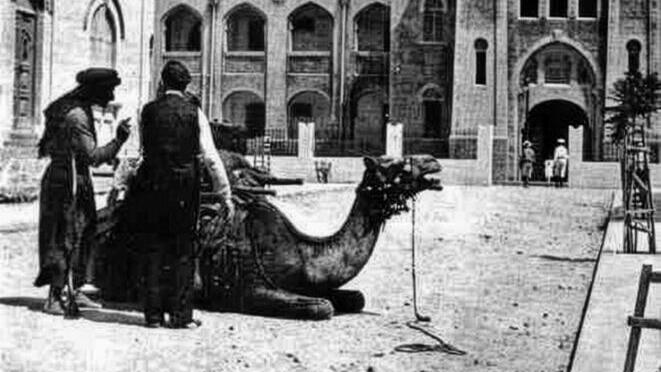 עיר מעט שונה מהתואר. מונית גמלים בת"א העות'מאנית עיר מעט שונה מהתואר. מונית גמלים בת"א העות'מאנית