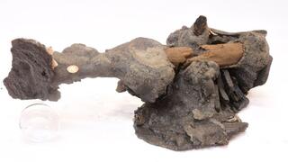 המפסלת הביזנטית לאחר הוצאה מהמים