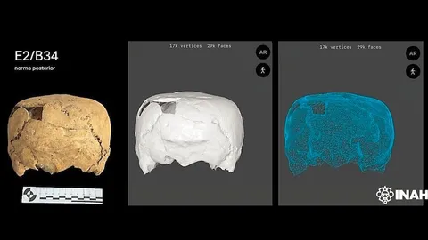 הראש המרובע (צילום: NAH; Technical Archive of the Physical Anthropology Section of CINAH Tamaulipas) הראש המרובע
