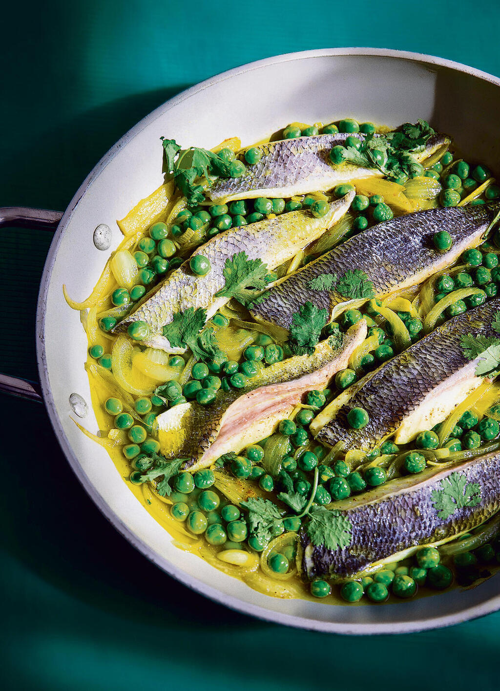 אביגיל עוזי