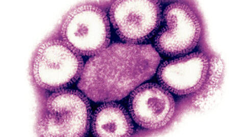 BSIP, Universal Images Group via Getty