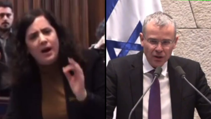יריב לוין נעמה לזימי