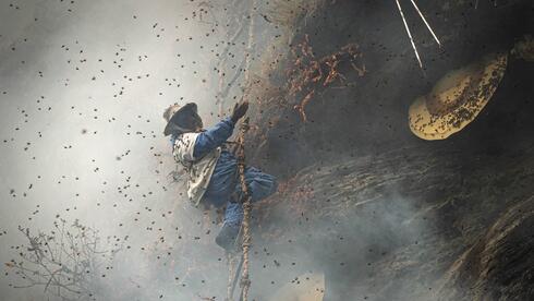 Remarkable journey: chasing the secrets of Nepal’s ancient 'mad honey' harvest