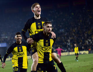 על הגובה. יונה ואצילי בטירוף