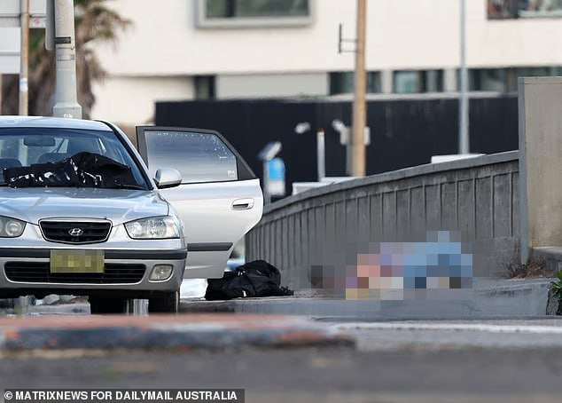 The couple who neutralized one of the terrorists were killed in the massacre (Photo: DailyMail) תיעוד קורבנות הטבח בבונדיי ביץ'