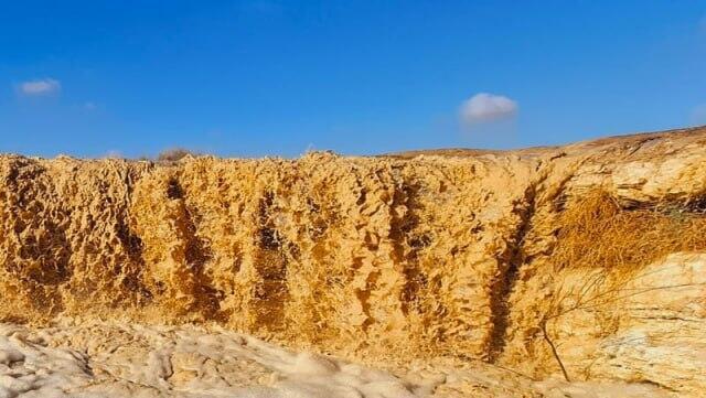 נחל צין שוצף