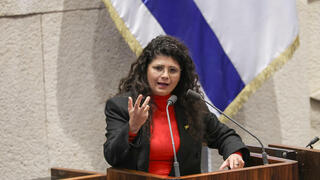 שרן השכל ועלה ירוק ירוצו יחד בבחירות: "חיבור טבעי וסגירת מעגל"