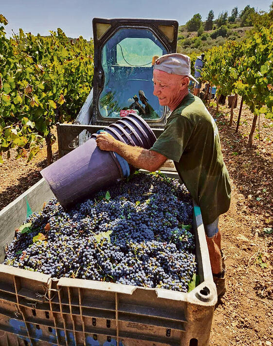 החקלאי יגאל משה ישראל