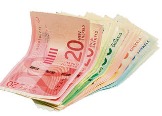 צילום: שאטרסטוק