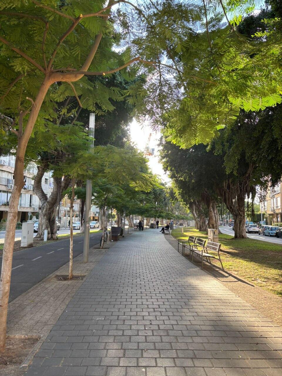 Bat Yam (Photo: Noah Sander) Bat Yam