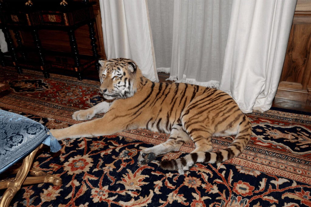 A stuffed tiger is seen in Jeffrey Epstein’s residence in a photo released as part of the U.S. Justice Department’s recent document dump (Photo: U.S. Justice Department/Handout via REUTERS) מסמכי תיקי אפשטיין