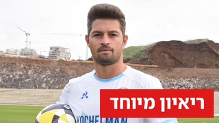  דוד קלטינס