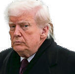 טראמפ (Mark Schiefelbein, AP) טראמפ