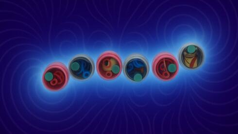 Order from motion: Israeli study reveals how spinning particles self-assemble