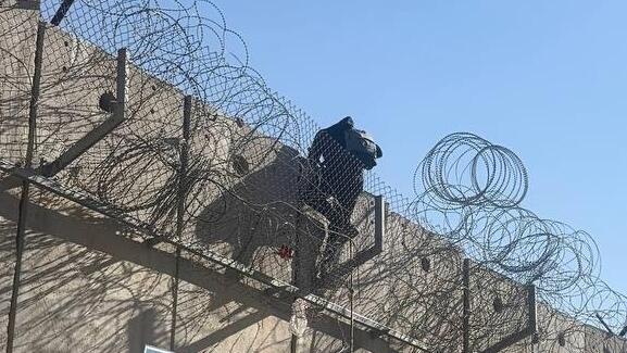 Palestinians breach security barrier in broad daylight, caught on camera