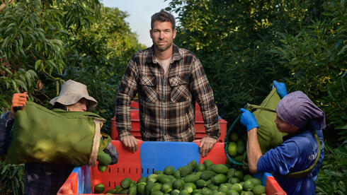 How avocados became Israel’s success crop