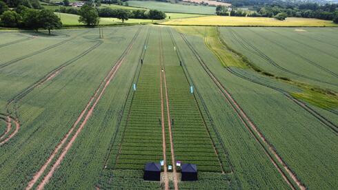 Israel's ADAMA, Germany's BASF partner on new fungicide for European crops