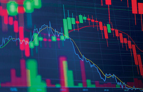 צילום: שאטרסטוק