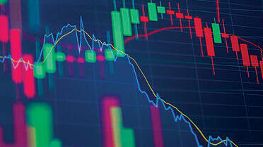 צילום: שאטרסטוק