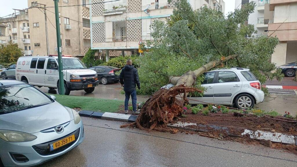 Tree falls onto passing car in Herzliya (Photo: Magen David Adom) קריסת עץ בהרצליה