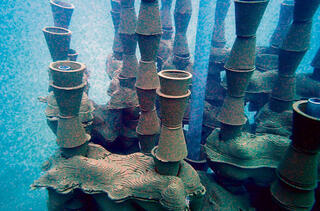 מצע חדש לחיים ימיים