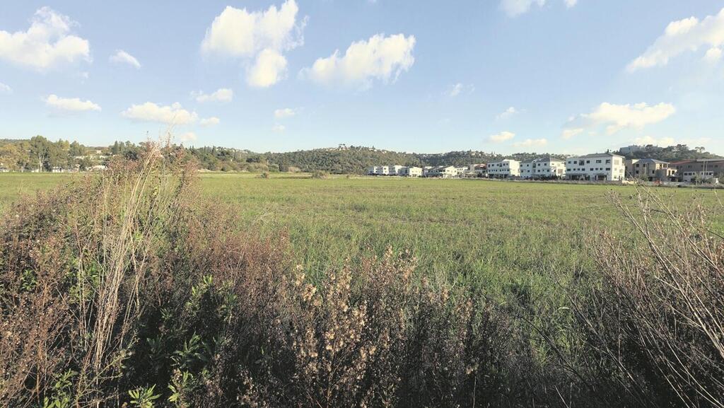 השטח המתוכנן לטובת הקמפוס של אנבידה בקריית טבעון (צילום: אלעד גרשגורן) השטח המתוכנן לטובת הקמפוס של אנבידה בקריית טבעון