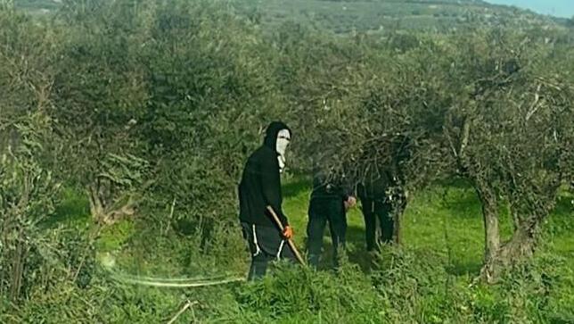 Masked Jewish extremists firebomb Palestinians, one in critical condition