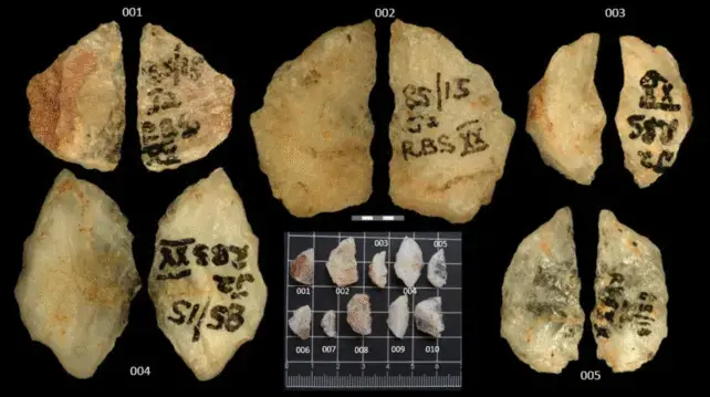 ראשי החץ העתיקים, שתוארכו כבני 60 אלף שנים, עם עקבות של אלקלואידים צמחיים רעילים ראשי החץ העתיקים, שתוארכו כבני 60 אלף שנים, עם עקבות של אלקלואידים צמחיים רעילים