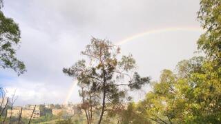 קשת בענן בכרמל