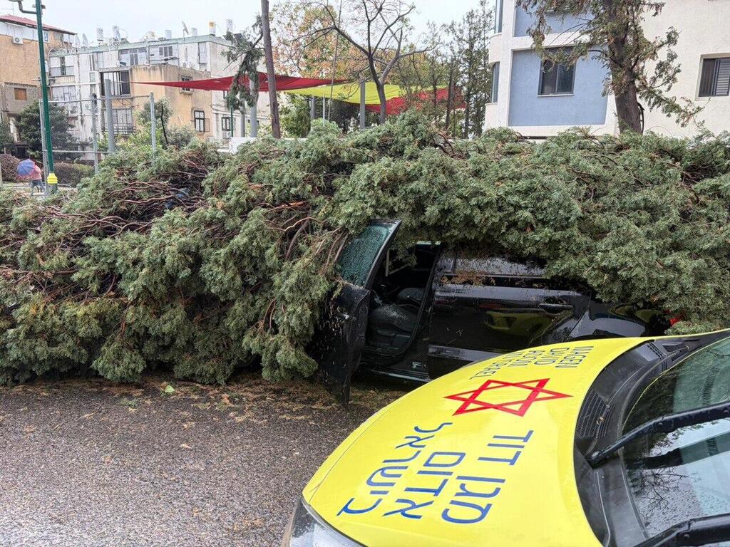 Tree collapses onto a car in Rishon LeZion (Photo: Magen David Adom) עץ שקרס על רכב רחוב מרדכי אנילביץ' בראשון לציון