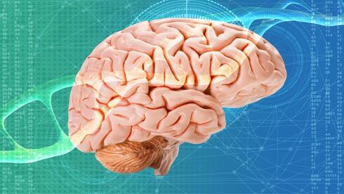 New Israeli study may unlock key clues to autism and brain development