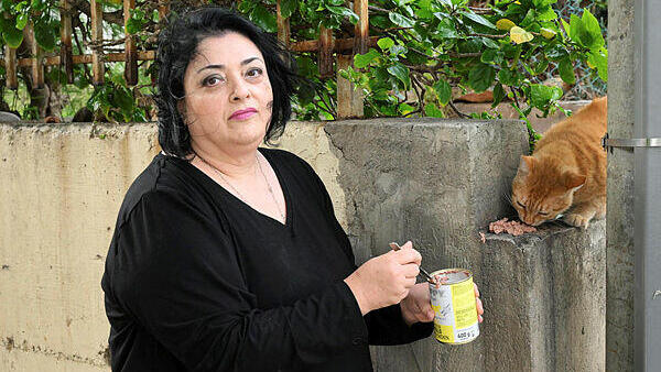 Hundreds sue woman over cats in Tel Aviv project