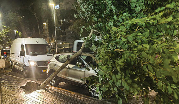 נזקי הסופה בעכו | צילום: עיריית עכו