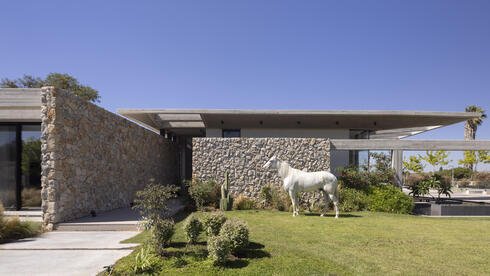 how one Israeli couple built a minimalist oasis on farmland