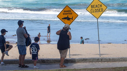 Fourth shark attack in 48 hours reported in New South Wales; residents urged to stay out of water