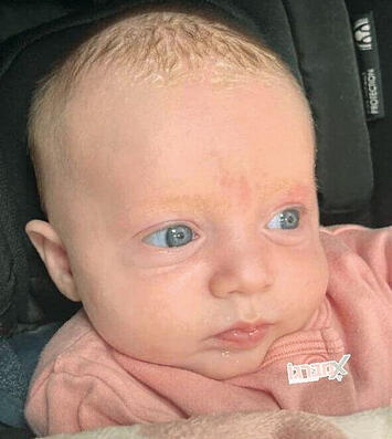 ליה גולובנציץ ז"ל ליה גולובנציץ ז"ל