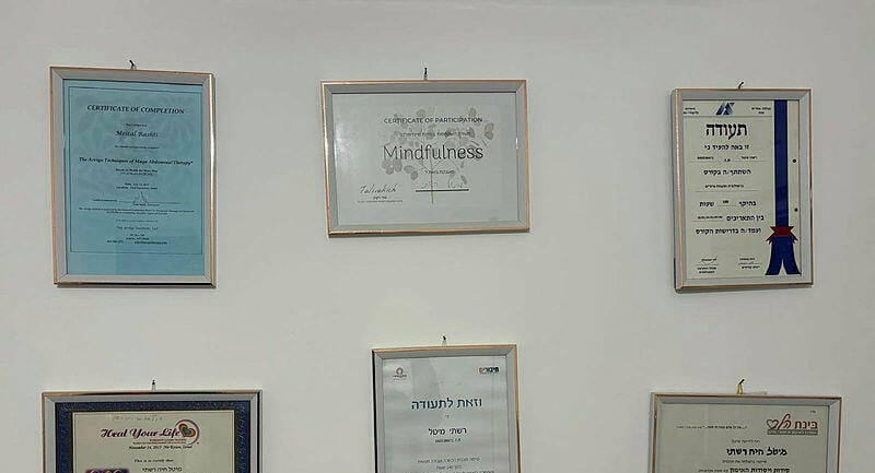 משפחת רשתי