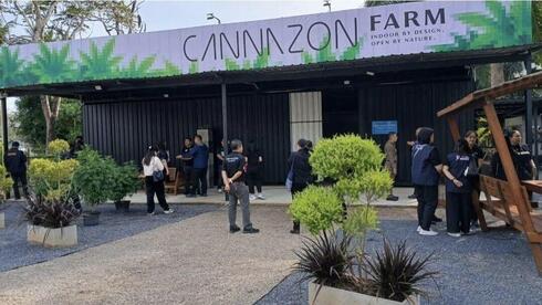 Israeli man arrested in Thailand for operating illegal cannabis farm