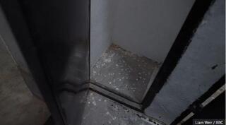 מתקן מעצר של איחוד האמירויות בתימן מתקן מעצר של איחוד האמירויות בתימן