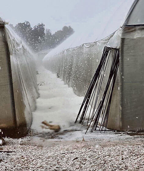 כפר ידידיה (ללא) כפר ידידיה