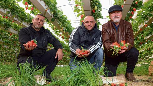 ‘Not looking for wars, just a livelihood’: the Palestinian farmers supplying Israel
